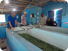 catfish hatchery house 1