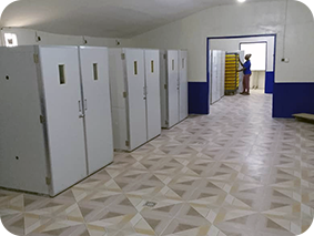 chick hatchery Setter room