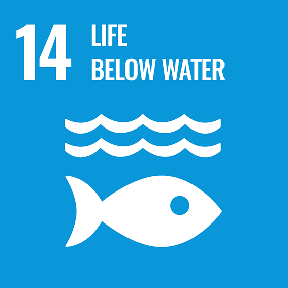 SDG 14 - life below water