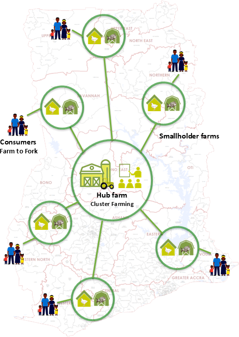 Cluster Diagram smallholders and consumers