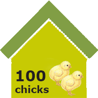 smallholder broiler farming impact
