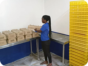 chick hatchery Hub farm packing room