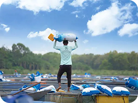 Koudijs fish feed 