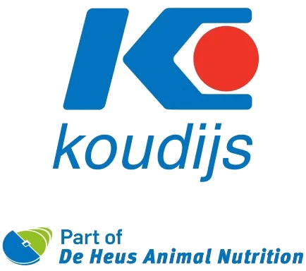 Koudijs Ghana